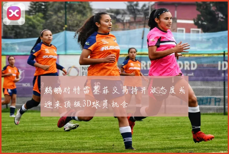 鹈鹕对特雷墨菲交易持开放态度或迎来顶级3D球员机会