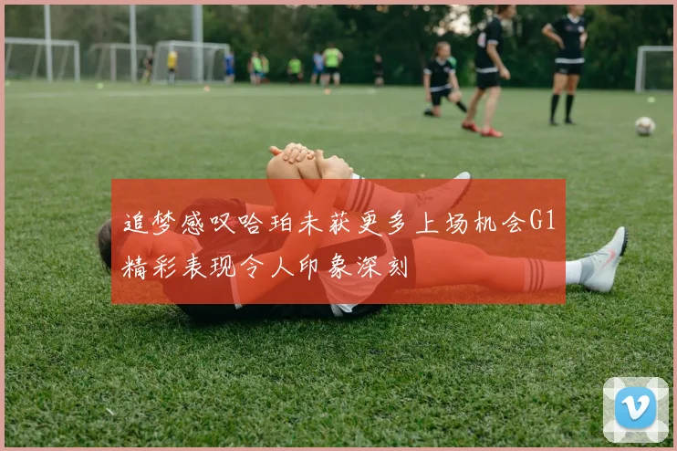 追梦感叹哈珀未获更多上场机会G1精彩表现令人印象深刻