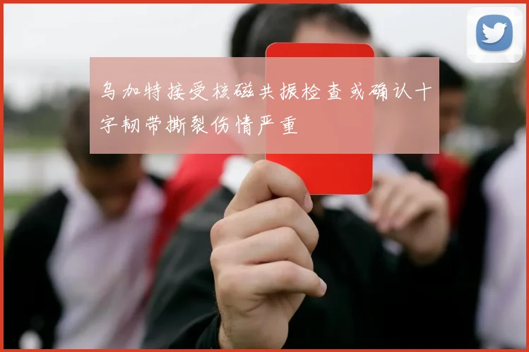 乌加特接受核磁共振检查或确认十字韧带撕裂伤情严重
